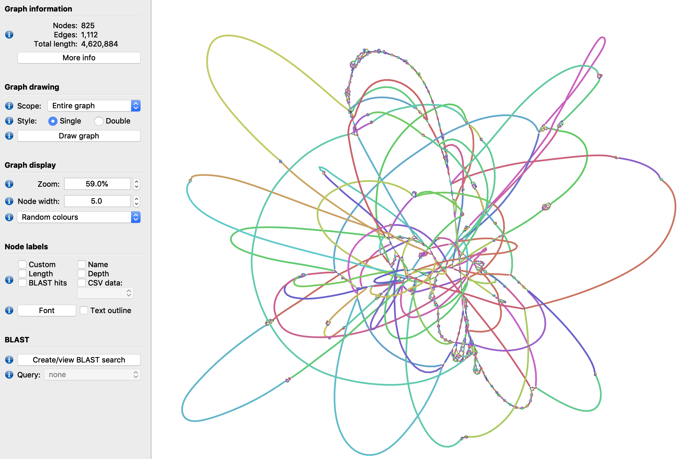 Bandage_initial_graph